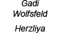 Gadi Wolfsfeld